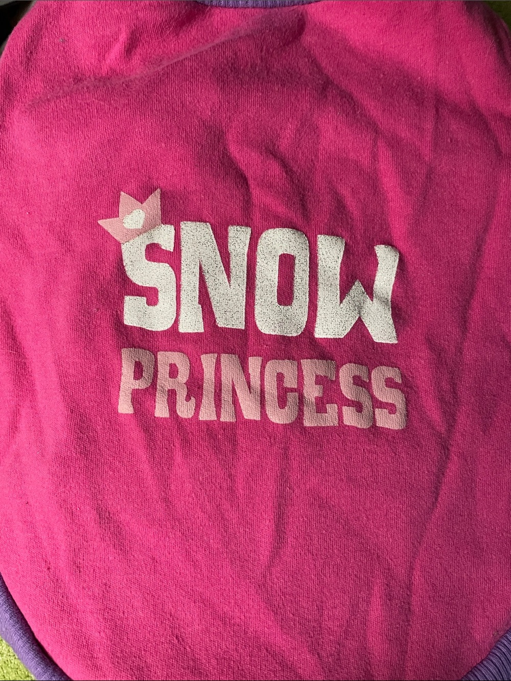 Pink 'Snow Princess' Dog Pullover Cleaned Sanitized